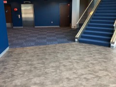 Carpet Commercial